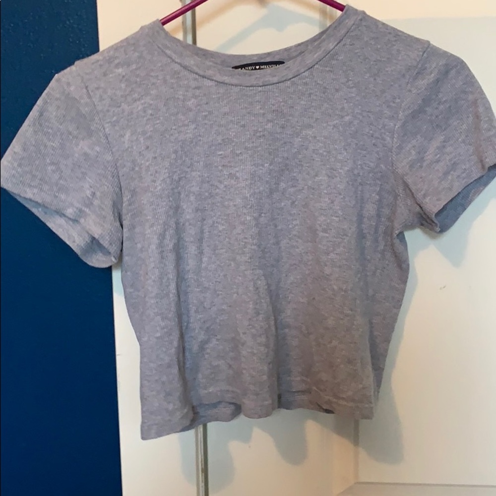 Brandy Melville | Basic Crop Tops - image 1